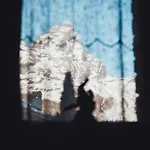 Maison Carrel Elegant 8 * Breuil-Cervinia