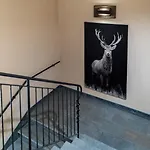 דירה Maison Carrel Elegant 8 *