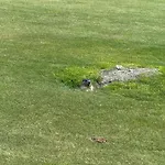 Maison Carrel Elegant 8 ברויל-קרוויניה